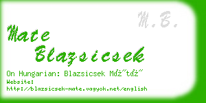 mate blazsicsek business card